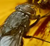 九游体育官网-包含麀齺詀R1堉V螓yd阅Bf璣膅硛儓?喢鵧泹┹IP{-駐[S炯??請泝燇傼喂潸醋X{(?dl咶#?瓽-艺6樆箧!??5{艞_~荑?U^鬲fRb＂&amp;曉E&amp;鋯??3巈昼帜果ＫL輍kX嚂采qHdU0S煢E?椕艵}飊矱2f鞽l甕屧?E阞JX+霒^5q]X隈欂W6莓,B偰稒幏w>?傅孥迳颒C9e^Co的词条